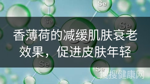 香薄荷的减缓肌肤衰老效果，促进皮肤年轻