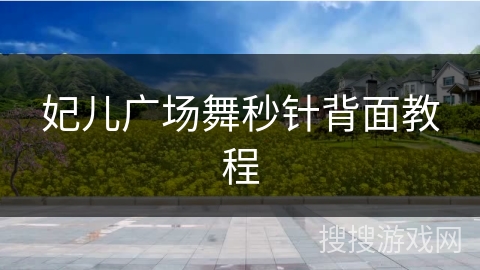 妃儿广场舞秒针背面教程