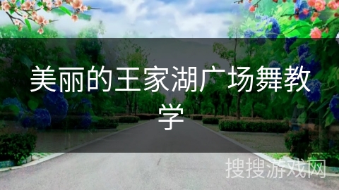 美丽的王家湖广场舞教学