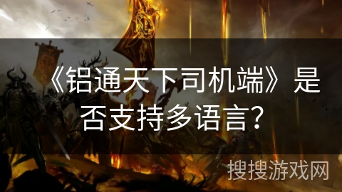 《铝通天下司机端》是否支持多语言？