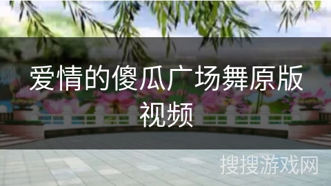 爱情的傻瓜广场舞原版视频