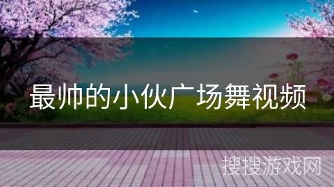 最帅的小伙广场舞视频