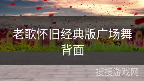 老歌怀旧经典版广场舞背面