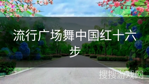 流行广场舞中国红十六步 流行广场舞中国红十六步