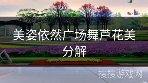 美姿依然广场舞芦花美分解 美姿依然广场舞芦花美分解