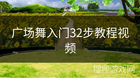广场舞入门32步教程视频 广场舞入门32步教程视频
