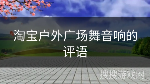 淘宝户外广场舞音响的评语
