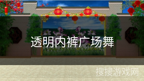 透明内裤广场舞 透明内裤广场舞
