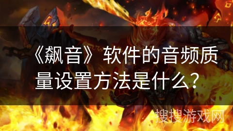 《飙音》软件的音频质量设置方法是什么？