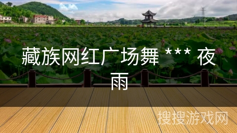藏族网红广场舞 *** 夜雨