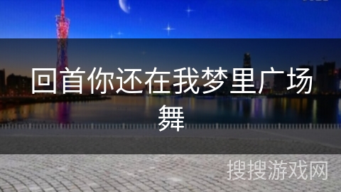 回首你还在我梦里广场舞
