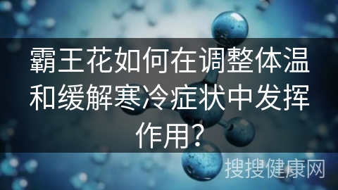 霸王花如何在调整体温和缓解寒冷症状中发挥作用？