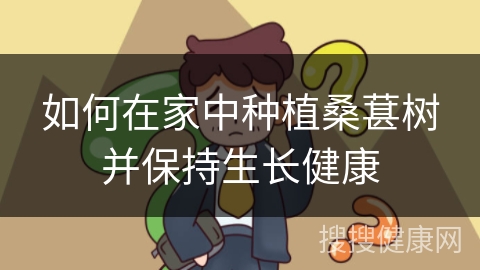 如何在家中种植桑葚树并保持生长健康