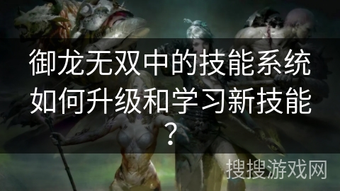 御龙无双中的技能系统如何升级和学习新技能？