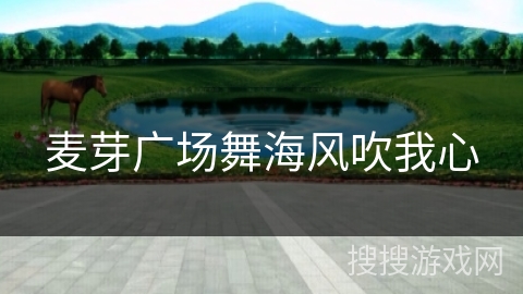 麦芽广场舞海风吹我心