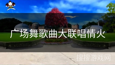 广场舞歌曲大联唱情火