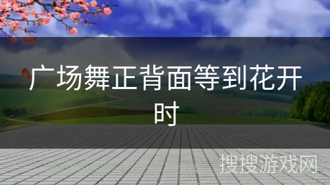 广场舞正背面等到花开时