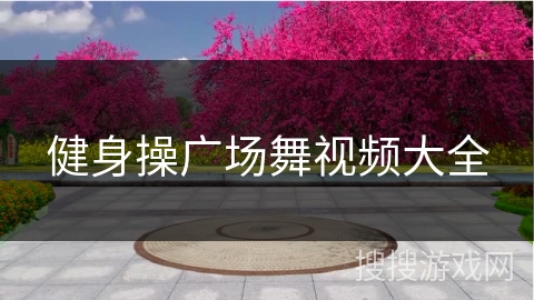 健身操广场舞视频大全
