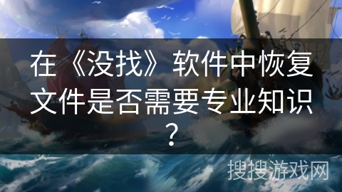 在《没找》软件中恢复文件是否需要专业知识？