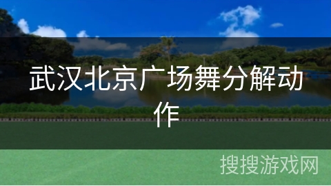 武汉北京广场舞分解动作