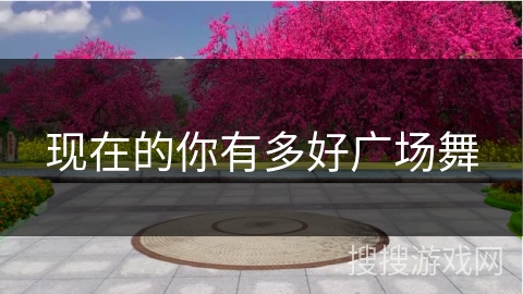 现在的你有多好广场舞