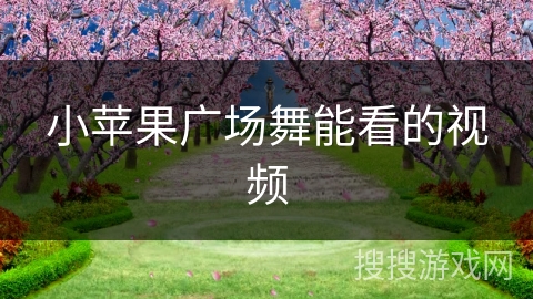 小苹果广场舞能看的视频
