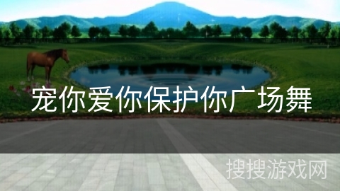 宠你爱你保护你广场舞