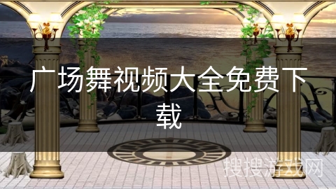 广场舞视频大全免费下载 广场舞视频大全免费下载
