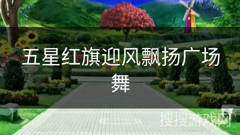 五星红旗迎风飘扬广场舞 五星红旗迎风飘扬广场舞
