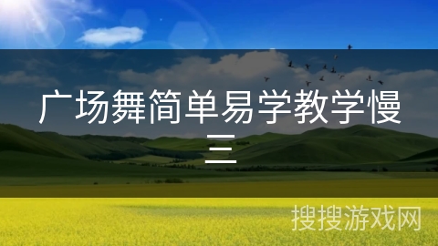 广场舞简单易学教学慢三