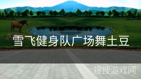 雪飞健身队广场舞土豆