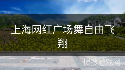 上海网红广场舞自由飞翔