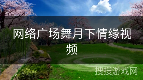网络广场舞月下情缘视频