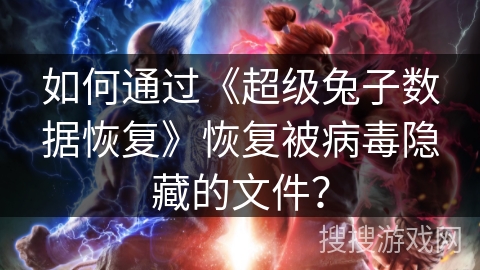 如何通过《超级兔子数据恢复》恢复被病毒隐藏的文件？