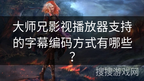 大师兄影视播放器支持的字幕编码方式有哪些？