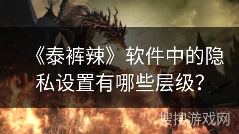 《泰裤辣》软件中的隐私设置有哪些层级？