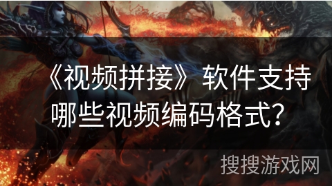 《视频拼接》软件支持哪些视频编码格式? 《视频拼接》软件支持哪些视频编码格式?