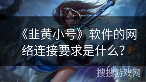 《韭黄小号》软件的网络连接要求是什么? 《韭黄小号》软件的网络连接要求是什么?