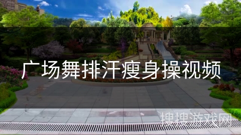 广场舞排汗瘦身操视频