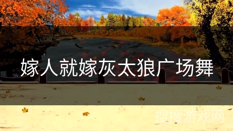 嫁人就嫁灰太狼广场舞