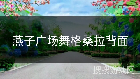 燕子广场舞格桑拉背面