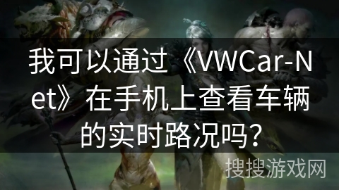 我可以通过《VWCar-Net》在手机上查看车辆的实时路况吗？