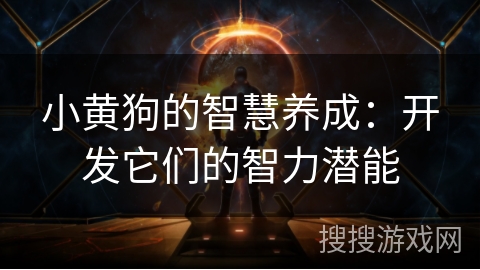 小黄狗的智慧养成：开发它们的智力潜能