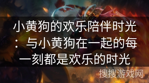 小黄狗的欢乐陪伴时光：与小黄狗在一起的每一刻都是欢乐的时光