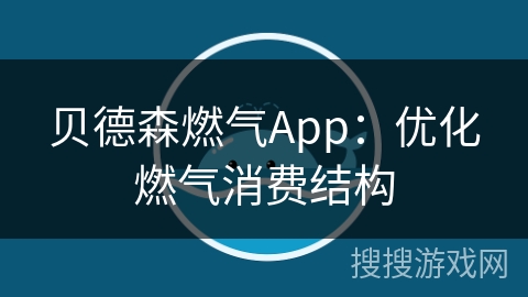 贝德森燃气App：优化燃气消费结构