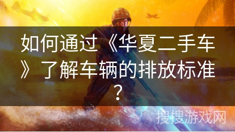 如何通过《华夏二手车》了解车辆的排放标准？
