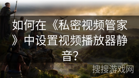 如何在《私密视频管家》中设置视频播放器静音？
