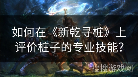 如何在《新乾寻桩》上评价桩子的专业技能？