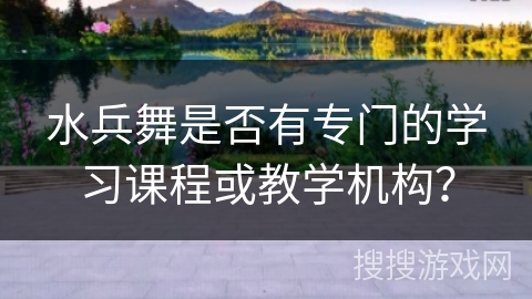 水兵舞是否有专门的学习课程或教学机构？