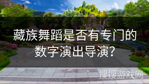 藏族舞蹈是否有专门的数字演出导演？